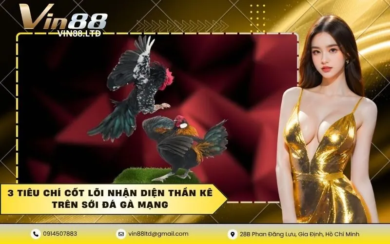 3 Tiêu chí cốt lõi nhận diện thần kê trên sới đá gà mạng