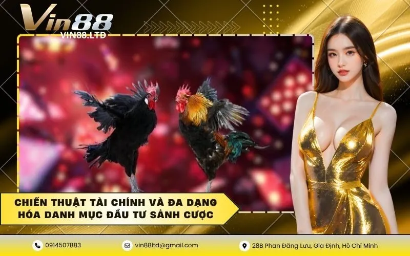 Chiến thuật tài chính và đa dạng hóa danh mục đầu tư sảnh cược