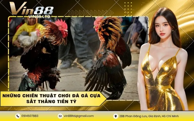 Đá gà cựa sắt