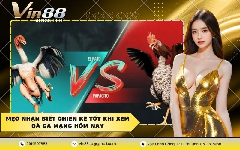 Đá gà mạng
