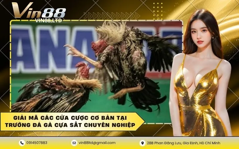 Giải mã các cửa cược cơ bản tại trường đá gà cựa sắt chuyên nghiệp