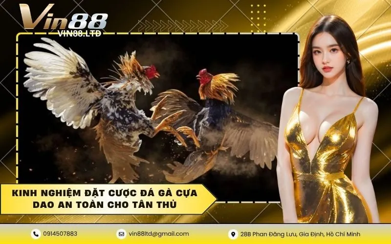 Kinh nghiệm đặt cược đá gà cựa dao an toàn cho tân thủ