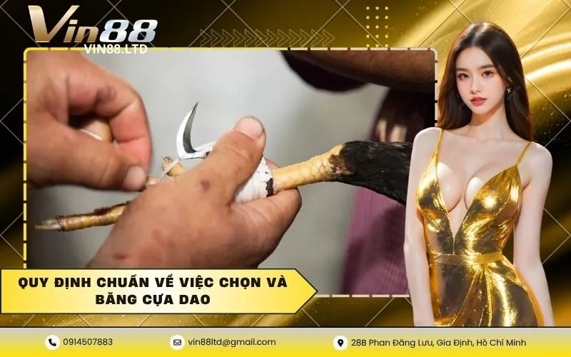 Quy định chuẩn về việc chọn và băng cựa dao