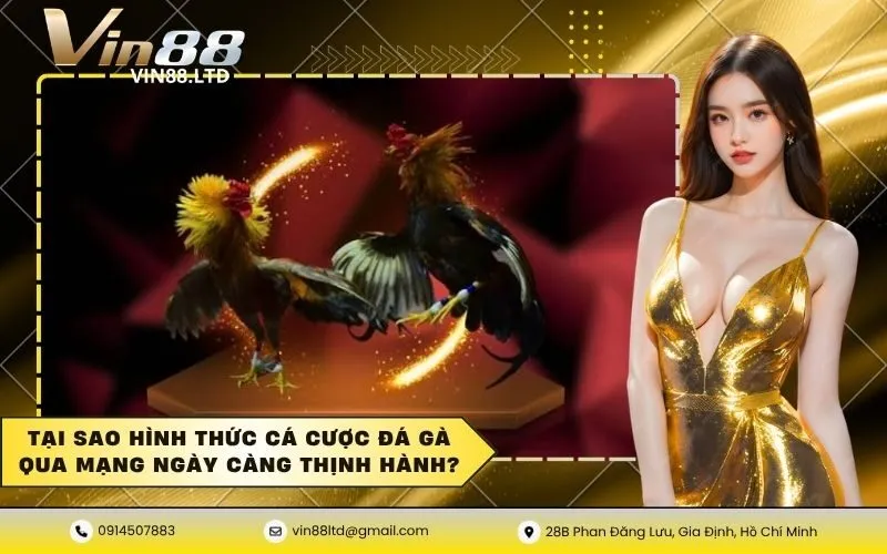 Tại sao hình thức cá cược đá gà qua mạng ngày càng thịnh hành