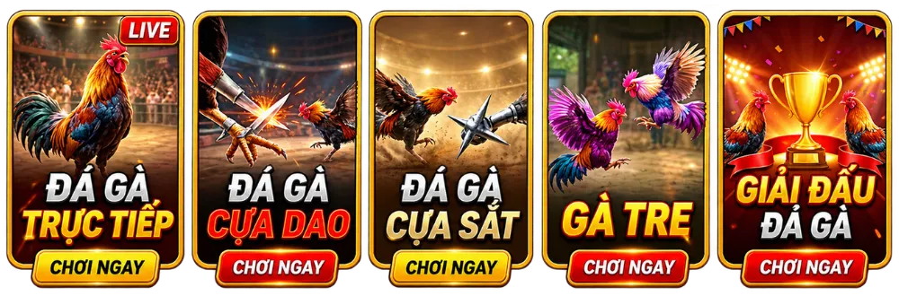 đá gà